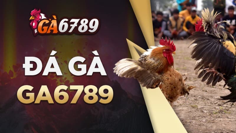 Giải đáp vấn đề thường gặp phải khi tải app6789
