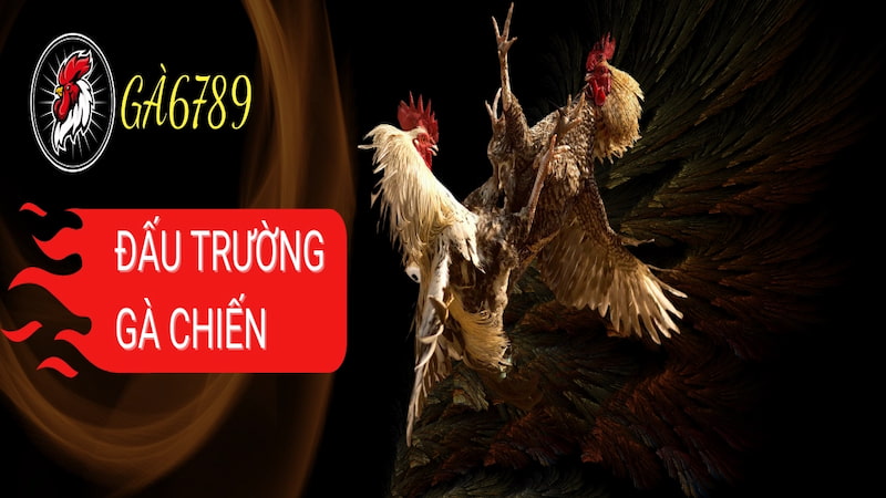 Chính sách GA6789 - Quyết định rõ ràng, trải nghiệm an toàn
