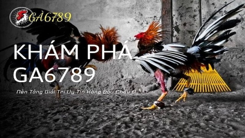 Tất tần tật nội dung của chính sách GA6789