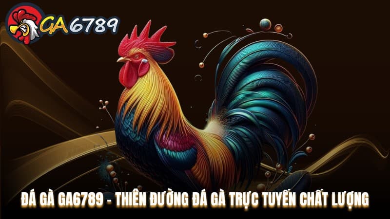 Lý do đá gà ga6789 là lựa chọn hàng đầu của nhiều người